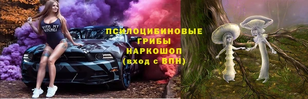 стаф Володарск